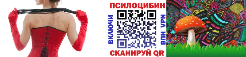 Галлюциногенные грибы Cubensis Городище